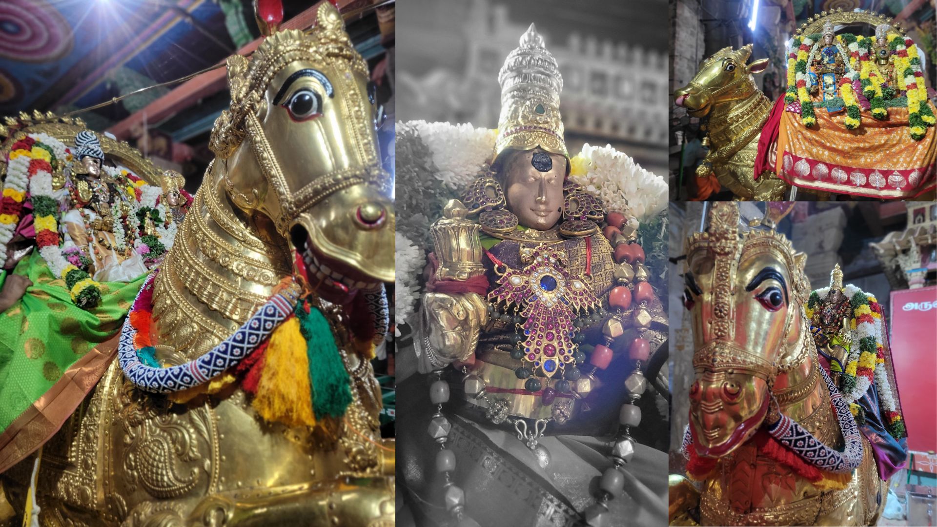 மதுரை அருள்மிகு மீனாட்சி சுந்தரேசுவரர் திருக்கோயில் தெப்பத்திருவிழா 2025 4ம் நாள் 04.02.2025 மாலை சுவாமி,அம்பாள்_தங்ககுதிரை வாகனம்